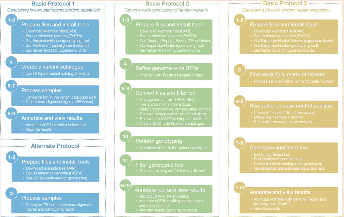 AliciaOshlack's tweet image. Andreas Halman guides you through the analysis of STRs with short read sequencing in our new paper in Current Protocols @LonsBio
…rentprotocols.onlinelibrary.wiley.com/doi/10.1002/cp…