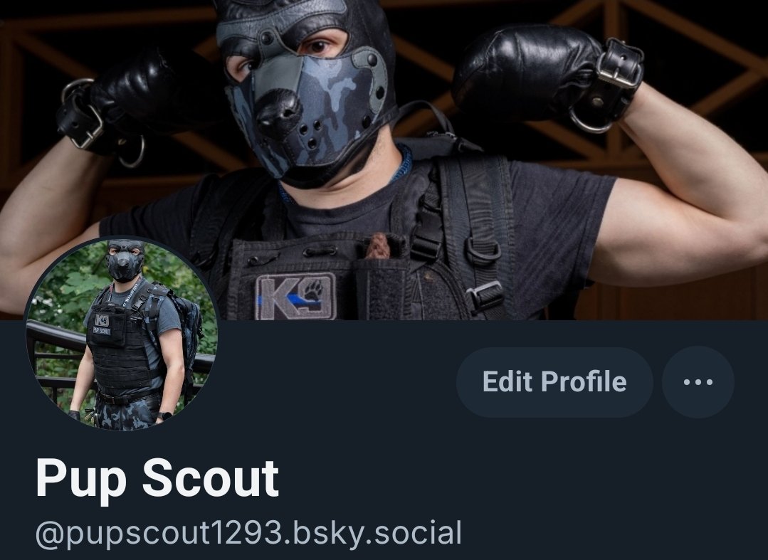 Pup Scout (@Pup_Scout1293) / Posts / X