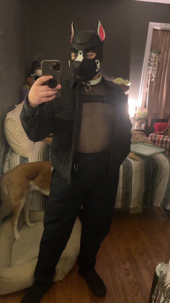 cheech_e_pup's tweet photo. First public pup night tonight, wish me luck 🥺
•
•
•
#pupplay #pupgear #pupkink #puphandler #pupcommunity #gaypup #queerpup #gaykink #ts #femboy #tboy https://t.co/bD0WHBMKJi