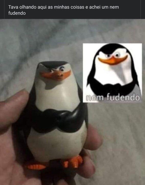 shitpostverdade's tweet photo. https://t.co/30psxW25Kj