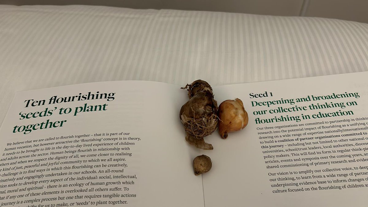 Anna Rogers tweet media