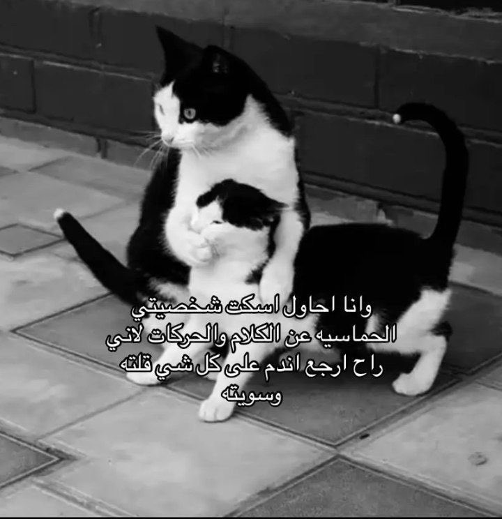 ٍ (@e_burw) on Twitter photo 