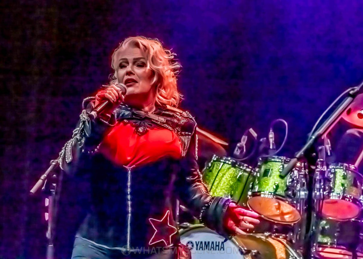 What's My Scene tweet media