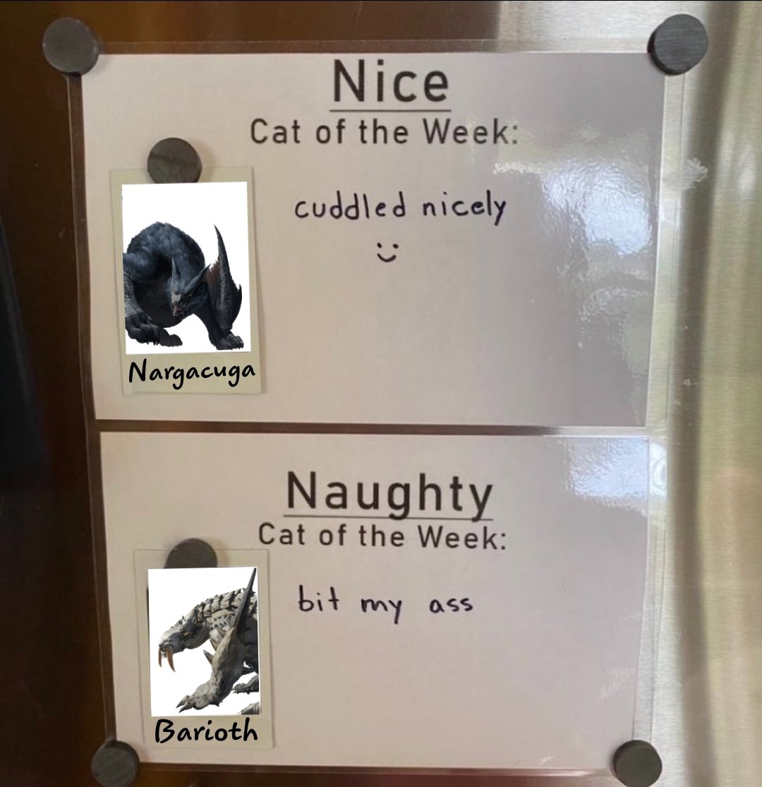 MidnightBoshi's tweet photo. Nargacuga is a sweet and cuddly kitty! https://t.co/XmObtyP9Lb