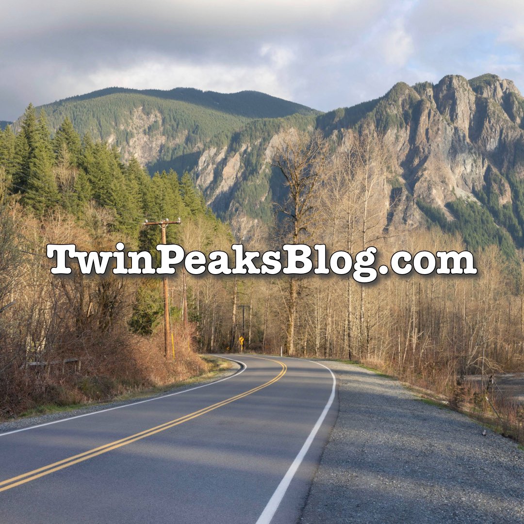 Steven Miller tweet media