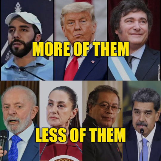 David Wolf (@davidwolf777) on Twitter photo 