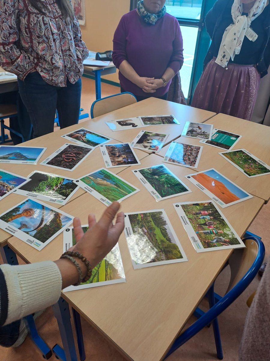 Formation avec l OCCE@coordnatocce sur le thème du développement durable en lien avec le thème du congrès de Colmar à venir. Des ateliers sur la classe dehors, les espèces à protéger .Merci pour cette matinée enrichissante !