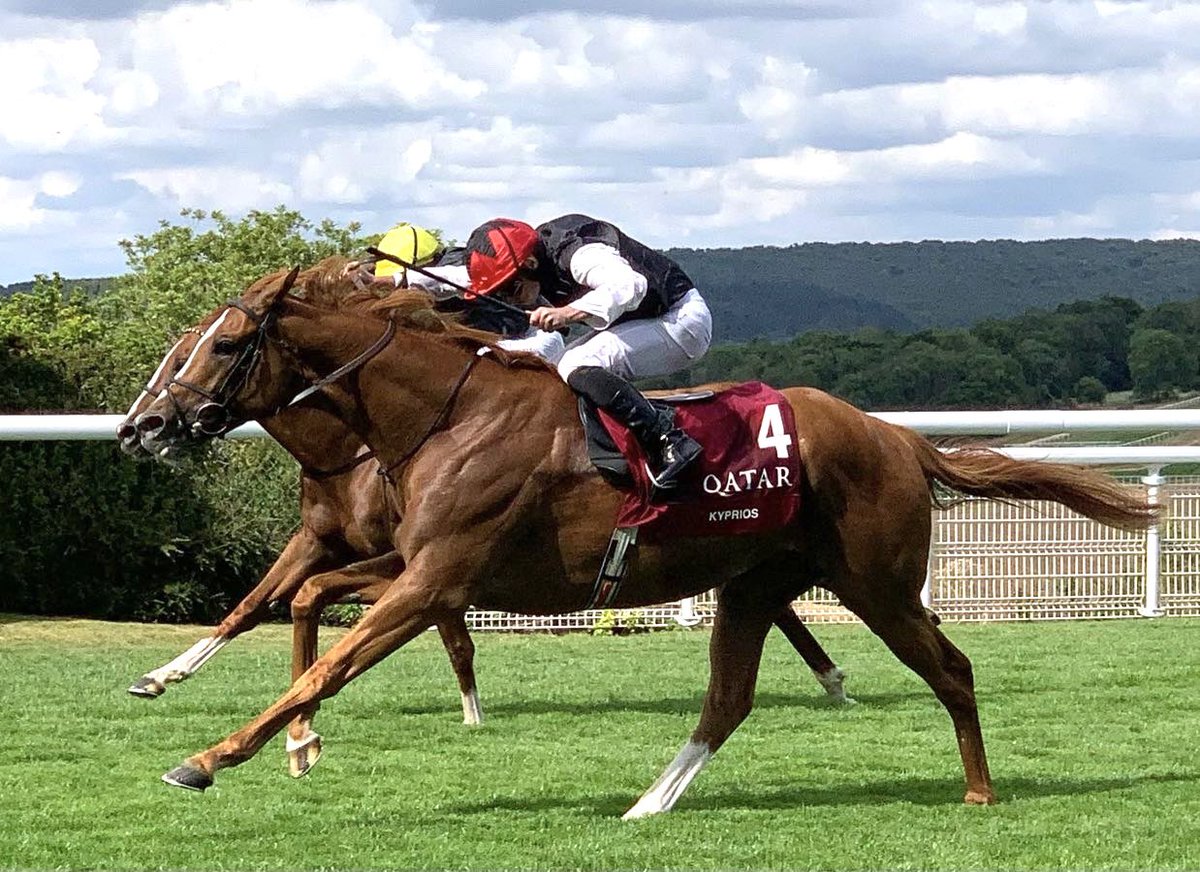 <a href="/JohnWathenBerry/">John Berry</a> <a href="/BuckleyKevin/">Kevin Buckley</a> <a href="/RPWeekender/">Weekender</a> <a href="/coolmorestud/">Coolmore</a> Couldn’t agree more. I’ll never forget being on the rail near the finish in 2022 at Goodwood, with Stradivarius and Kyprios battling it out to the line - this is my photo