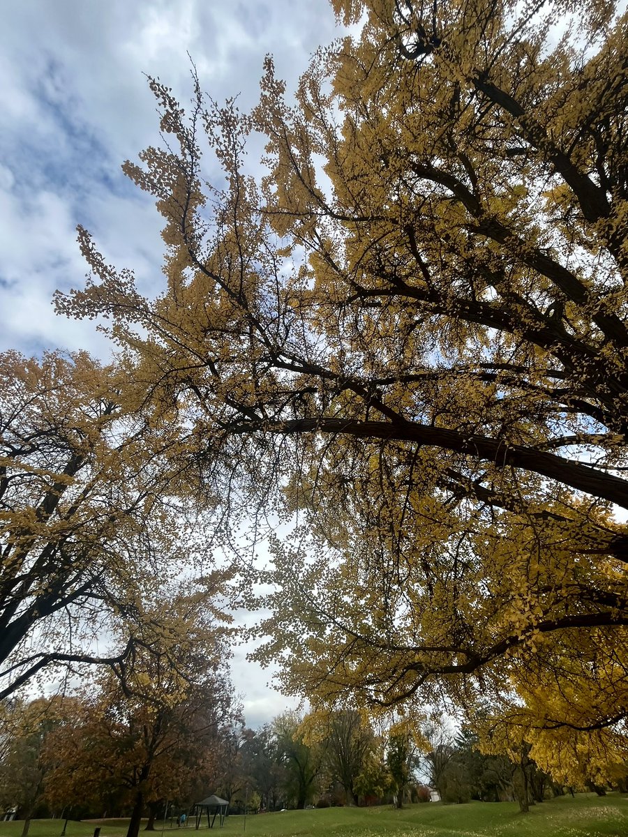 Took the day off, had to get out. Take care of yourselves.