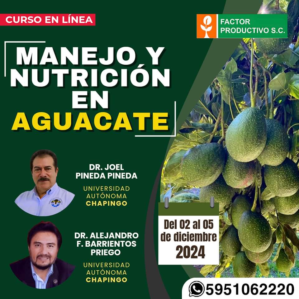 factorprod's tweet photo. 🥑Veremos los tipos de podas y su utilización en la floración y producción de fruto.🥑

📲 Informes y registro👉 https://t.co/xPjYEclK0M

¡𝐂𝐀𝐏𝐀𝐂𝐈́𝐓𝐀𝐓𝐄 𝐂𝐎𝐍 𝐋𝐎𝐒 𝐄𝐗𝐏𝐄𝐑𝐓𝐎𝐒!

#Aguacate #NutriciónVegetal #AguacatedeMéxico
#nutricióndeaguacate #aguacate https://t.co/MoXPvLaL8K