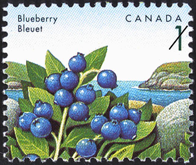 Stamps Bot (@stampsbot) on Twitter photo 