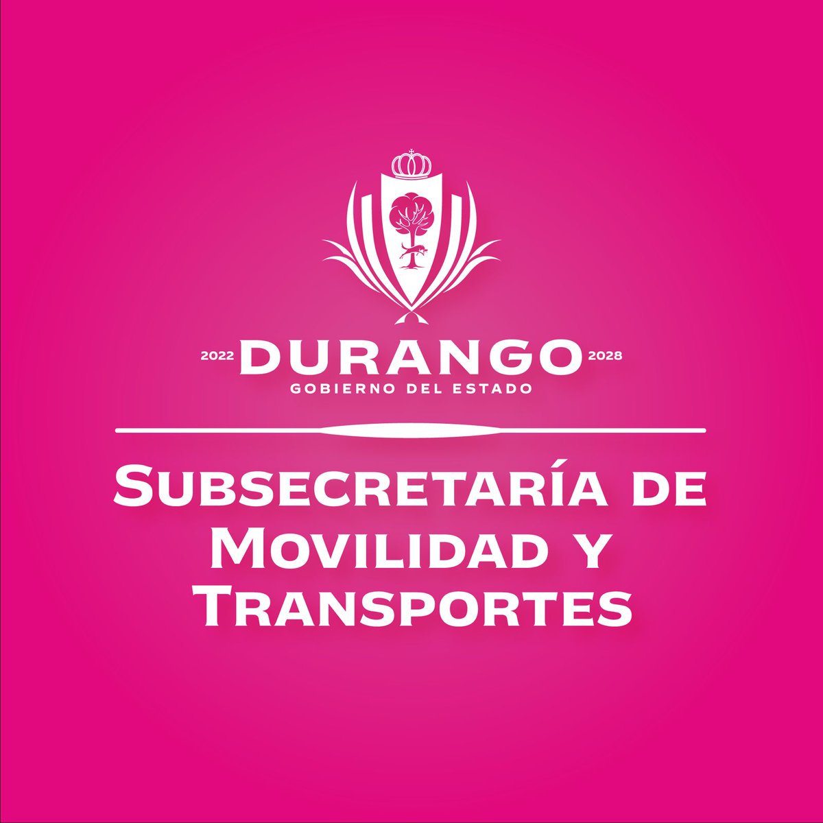 Subsecretaría de Movilidad y Transportes Durango tweet media