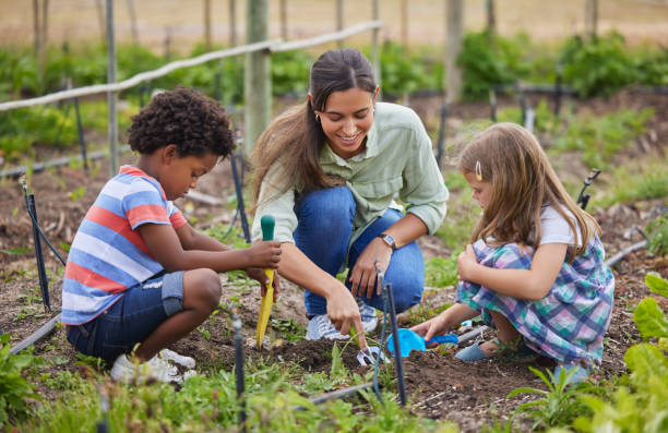 Minority & Veteran Farmers of the Piedmont tweet media