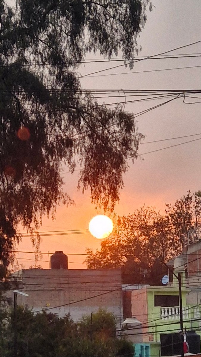 joujoujou (@joan_guti9) on Twitter photo 