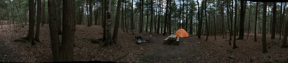 Red Hunt tweet media