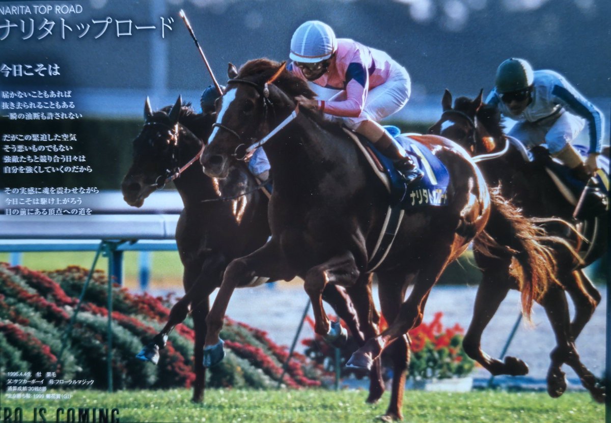 値下げ ナリタトップロード　菊花賞他場的中馬券 値下げ ナリタトップロード 菊花賞他場的中馬券 値下げ ナリタトップ