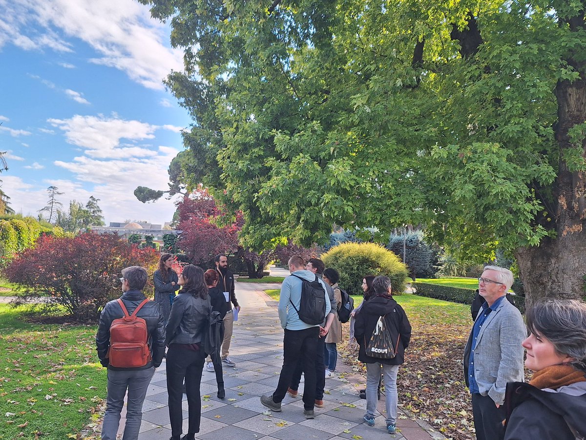 arbocity tweet media