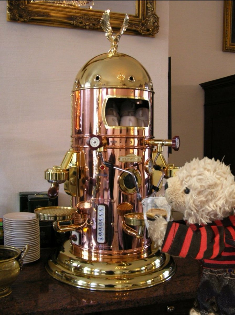 🧸🌻 Alfie 🌻 🧸 tweet media