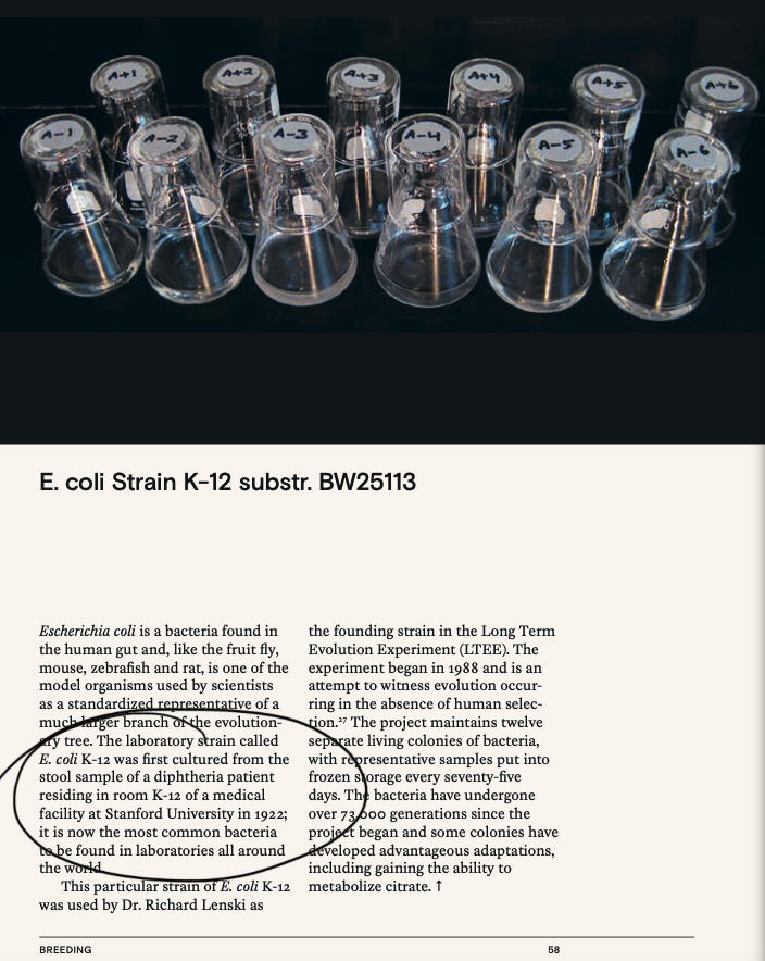 TIL that E. coli K12 — the most widely used strain of bacterium for biological research — is named "K-12" because it was first isolated from a diphtheria patient staying in room K-12 of a Stanford University hospital in 1922.

Naming conventions in biology are weird!