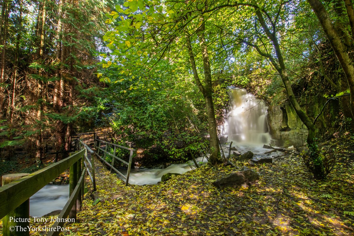 Tony Johnson📷 (@tonyjohnsonypn) on Twitter photo Autumnal colours at Harmby Falls near Leyburn in the #yorkshiredalesnationalpark, shot for <a href="/yorkshirepost/">The Yorkshire Post</a> Autumnal colours at Harmby Falls near Leyburn in the #yorkshiredalesnationalpark, shot for <a href="/yorkshirepost/">The Yorkshire Post</a>