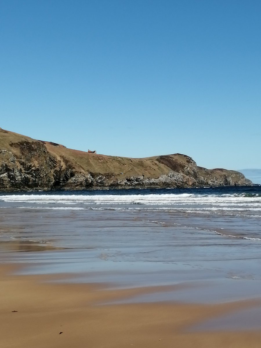 Figment23 tweet media