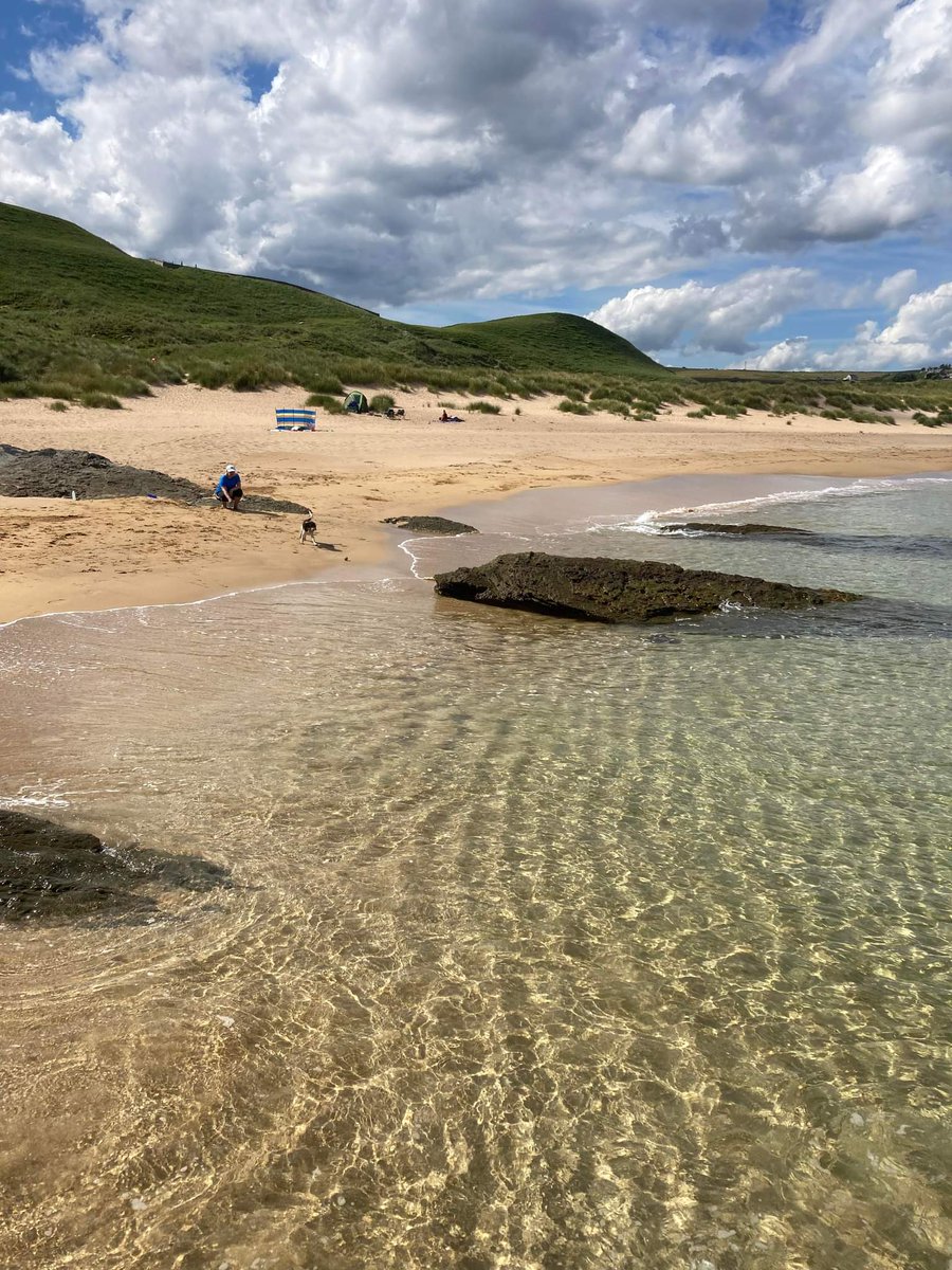 Figment23 tweet media