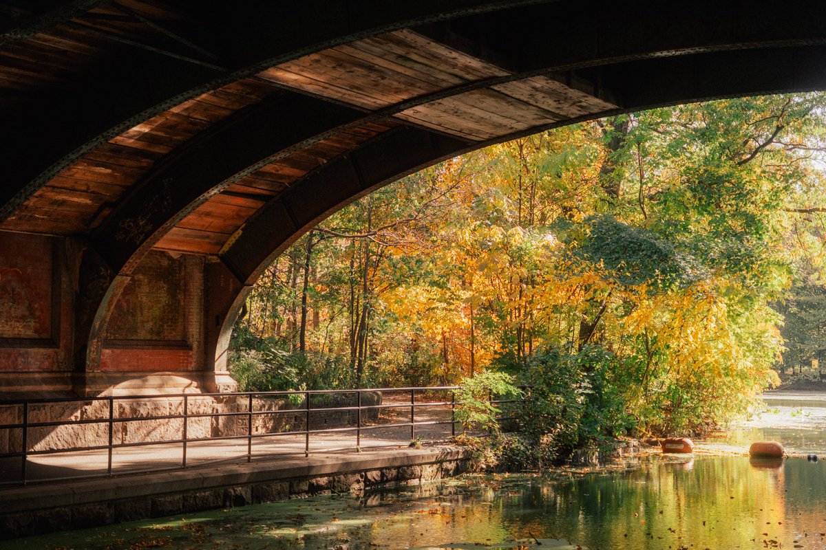 mutluph's tweet photo. Fall colors 🍂
Prospect Park, Brooklyn
#fujifilm #fujifilm_xseries #myfujifilmlegacy #fujifilmx_us #streetphotography https://t.co/SNUGGOkJVA