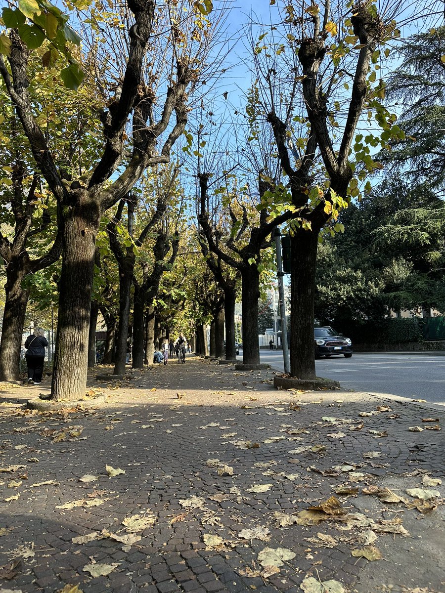 Anwarii_96's tweet photo. Autumn🤎🍂 https://t.co/a4gWBGFMKd