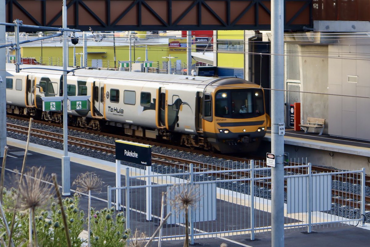 NZ Transit Buzz tweet media