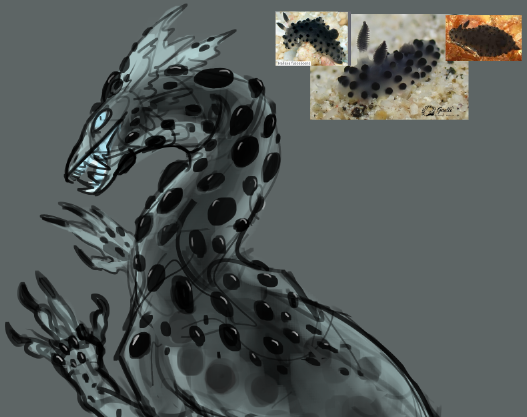 KaseySnowArt's tweet photo. Doing some sea slug dragon designs on stream! I just found out about #nudivember to spread some nudibranch love and am so stoked! Creature design and chill, anyone?
https://t.co/AVsGwVqubb
#seaslugdragon #creaturedesign #seaslugs https://t.co/hely6uDgzQ