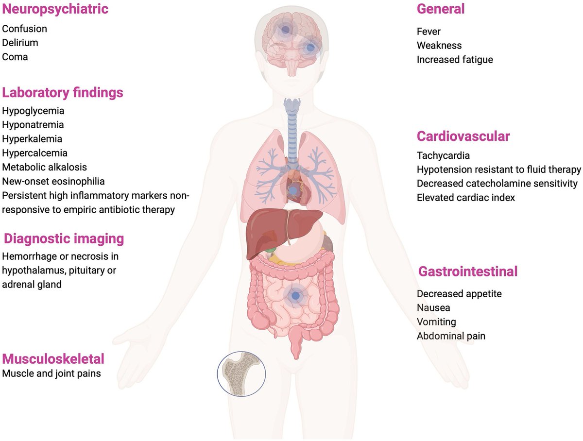 Critical illness-related corticosteroid insufficiency - an overview of pathogenesis, clinical presentation &amp; management

CCR Journal Watch
criticalcarereviews.com/latest-evidenc…

Get the latest critical care literature every weekend via the CCR Newsletter - subscribe at criticalcarereviews.com/newsletters/su…