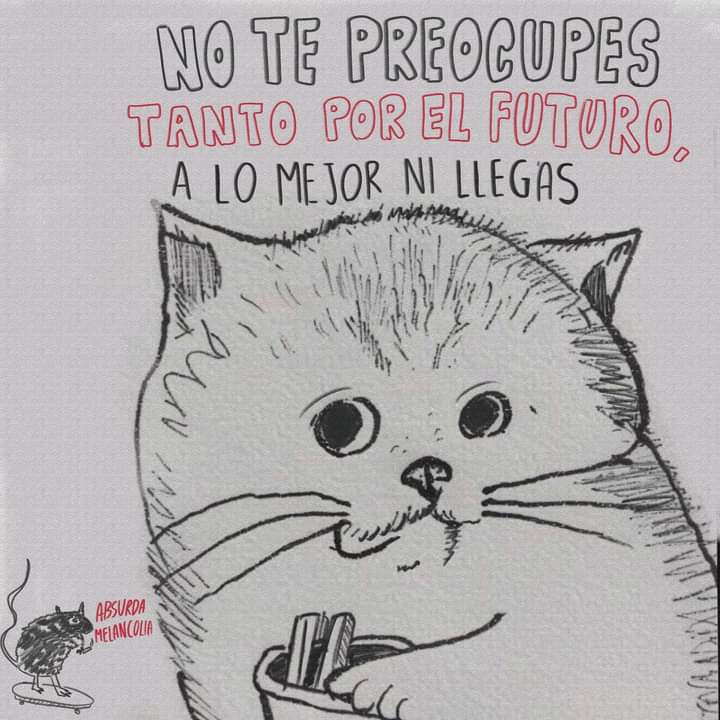 Absurda Melancolía tweet media