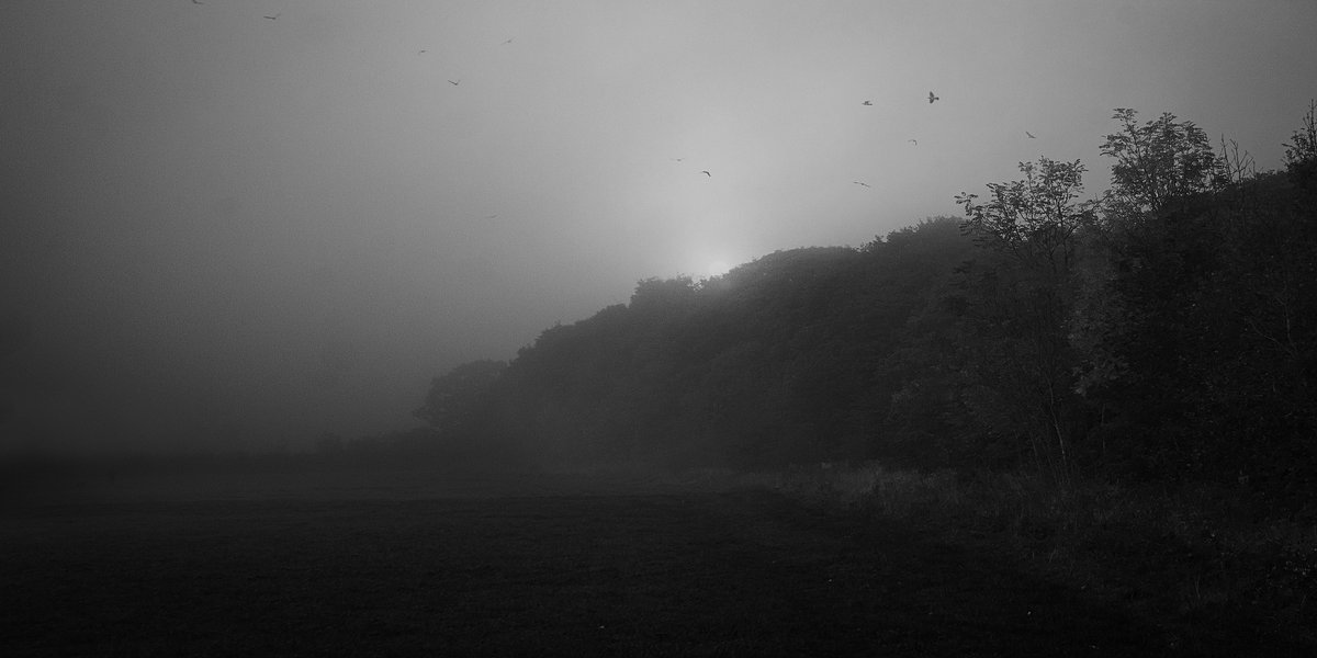 nomoth (@apevisions) on Twitter photo 