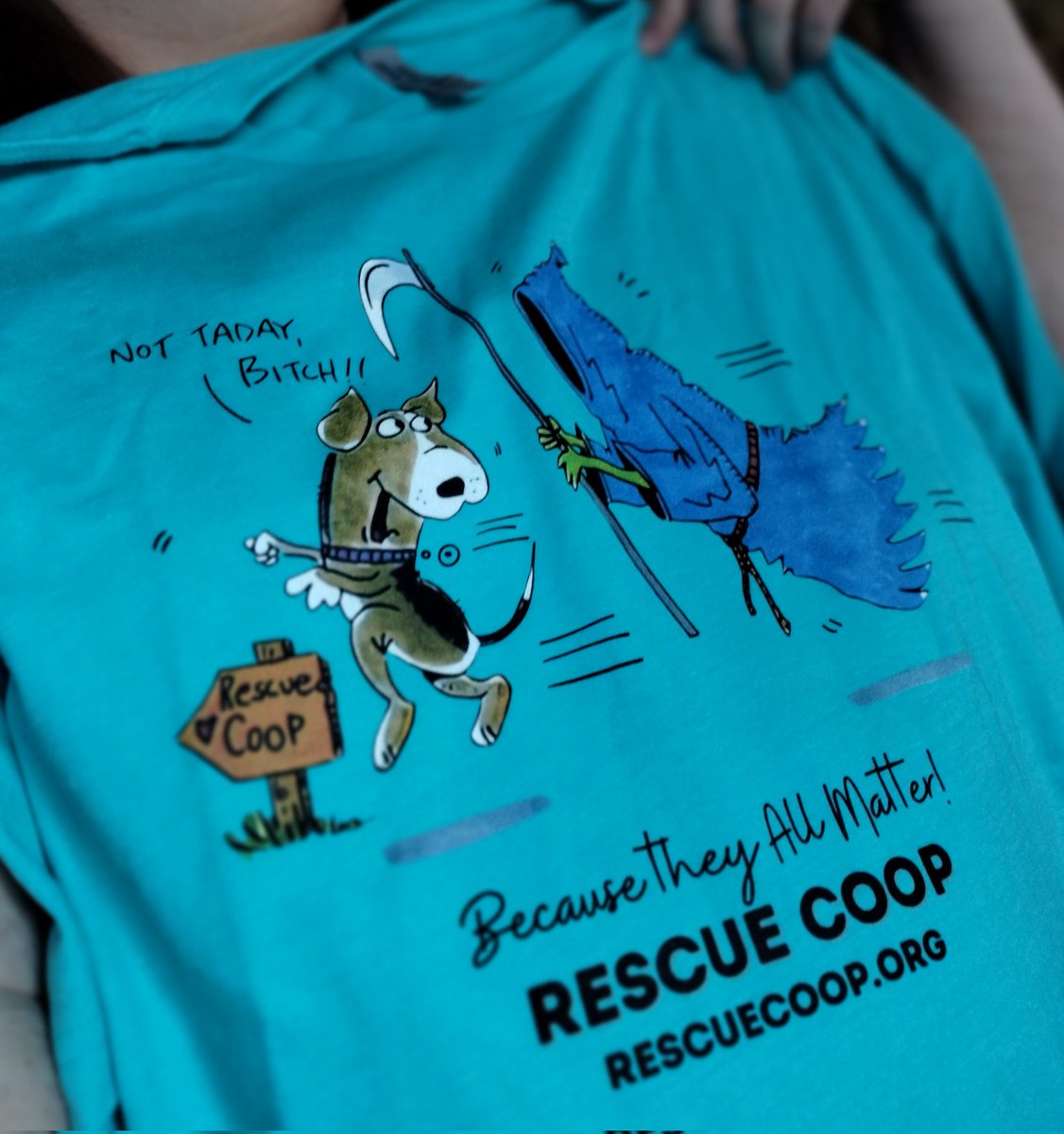 jztkddng's tweet photo. Arrived just now. What do we say to the god of death? #NotTaday @RescueCoop @LolaPatolla https://t.co/lfy1loPSH1