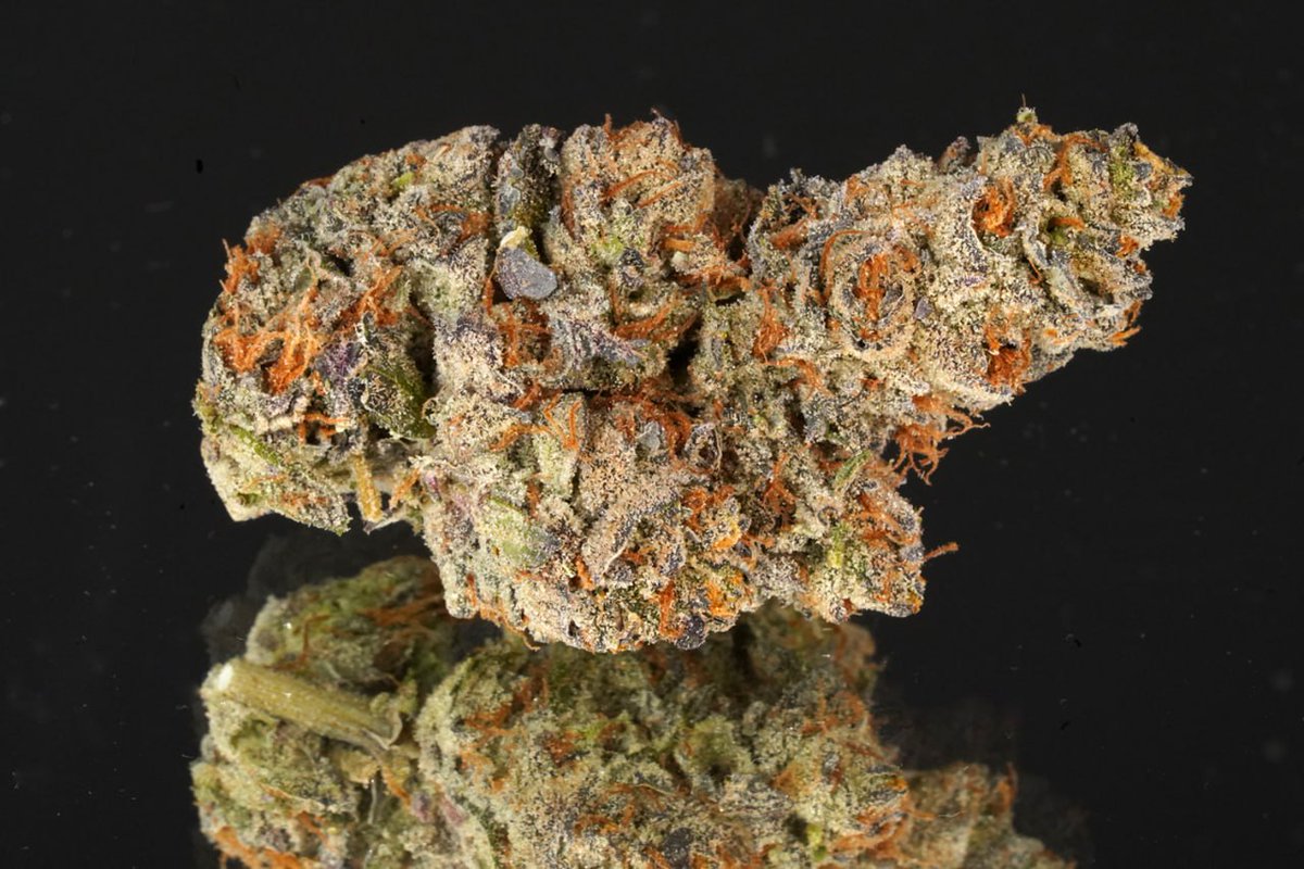 CloudOf9s's tweet photo. @420matt9191 Cadillac Rainbow 🌈

#Kush #Vibes #Skunk #Bong #Chill #Purp #Joint #Hits #Roll #Loud #Love #Grow #Life #Meds #Crop #OG420 #Zoot #Pack #Lift #Doobs #Fire #Herbs #Live #Epic #Puff #Gold #Highz #Packs #Trip #Rips #Fuel #Blast #Farm #Haze #Weedy #Glow #Club #Bake https://t.co/k4oD9GKJbq