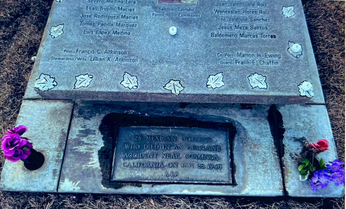 Dianne Solis ✍🏽 tweet media