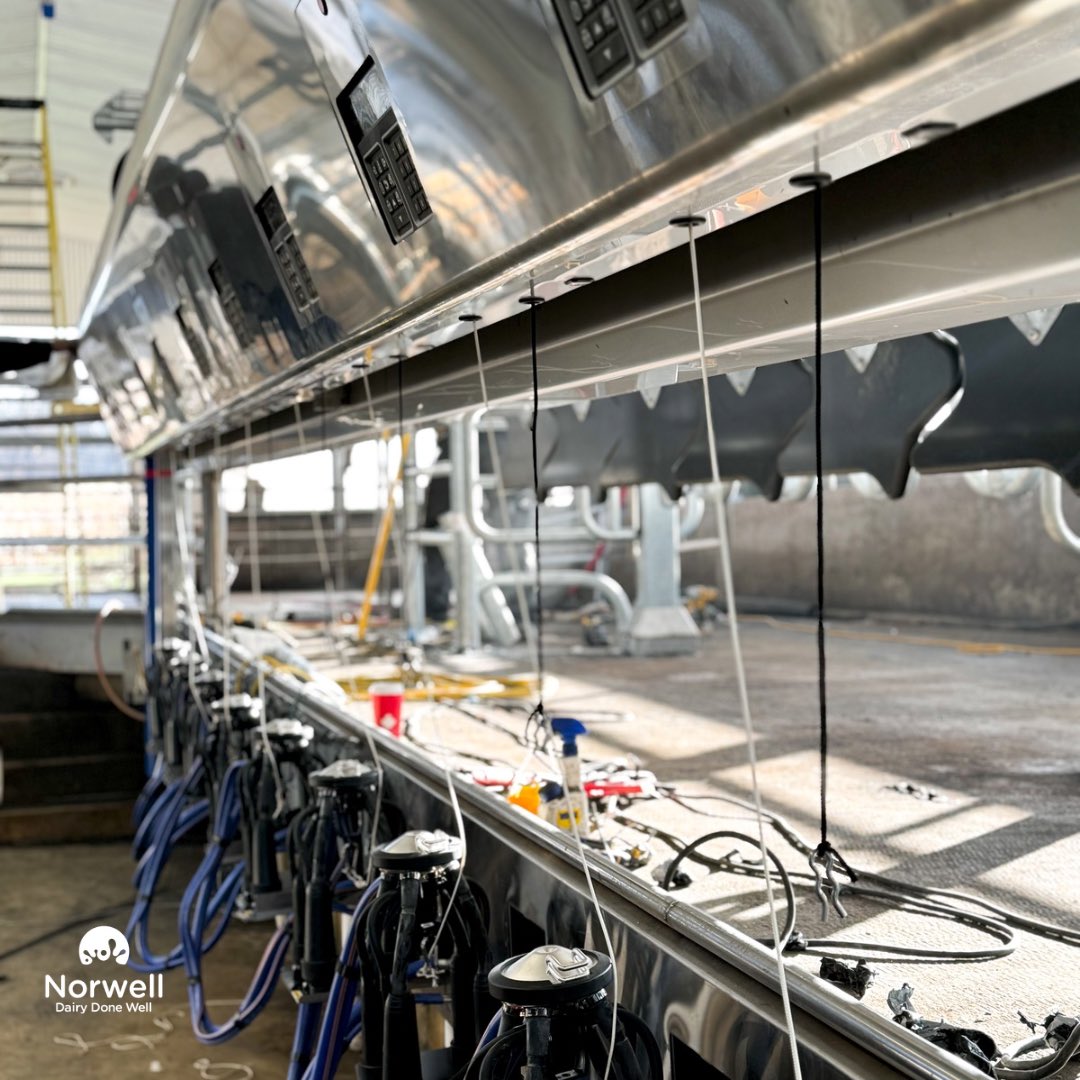 Big changes happening at Richview Acres!  We are currently doing a parlour update and change from a 30 year old  double 8 Alfa-Laval Blue Diamond rapid exit to a DeLaval double 10 P500 parallel parlour! The Blue Diamond had served the customer well and it was time for a change!