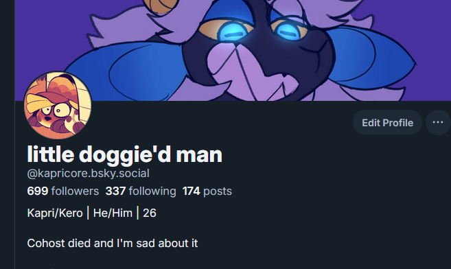 super spooky cat tweet media