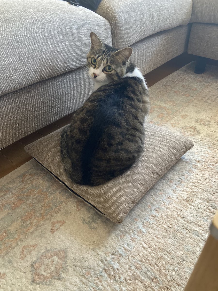 スプーン取りに立ち上がった隙に場所取られました