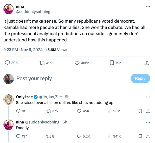 BourgeoisZombie's tweet photo. accusations of election fraud just hit different when it comes from centrist libs https://t.co/dopjA2veFZ