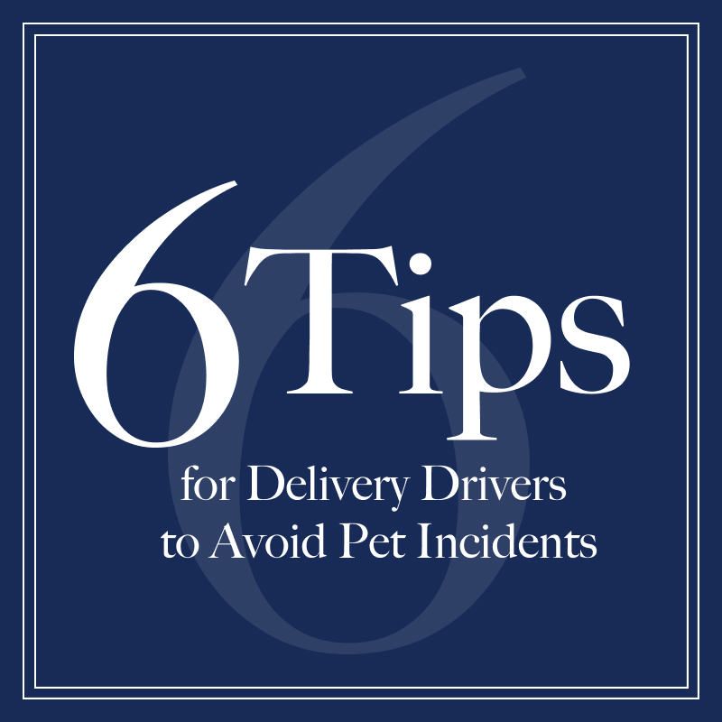 usclaims's tweet photo. Did you know that 94% of delivery drivers have been bitten by dogs while on the job? These aren't just minor nips—27% of incidents require medical attention.

Learn more about legal liabilities and safety tips to protect everyone involved 👇
https://t.co/xoEobSEhnL https://t.co/CAsXBeNJah