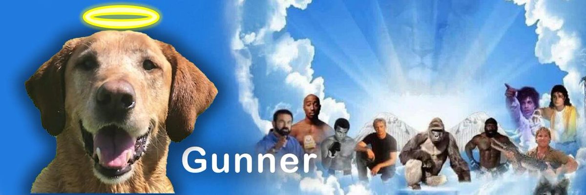 dig_warlock's tweet photo. @fomomofosol $gunner bro $gunner, send it higher

https://t.co/FpUkyV4u0K https://t.co/L7SH6bINIL
