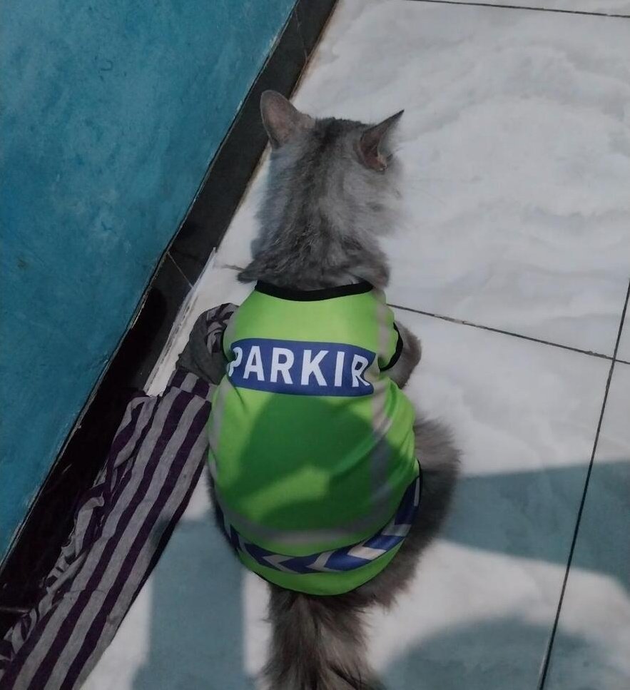 Siap² mengais rejeki hari ini 💪