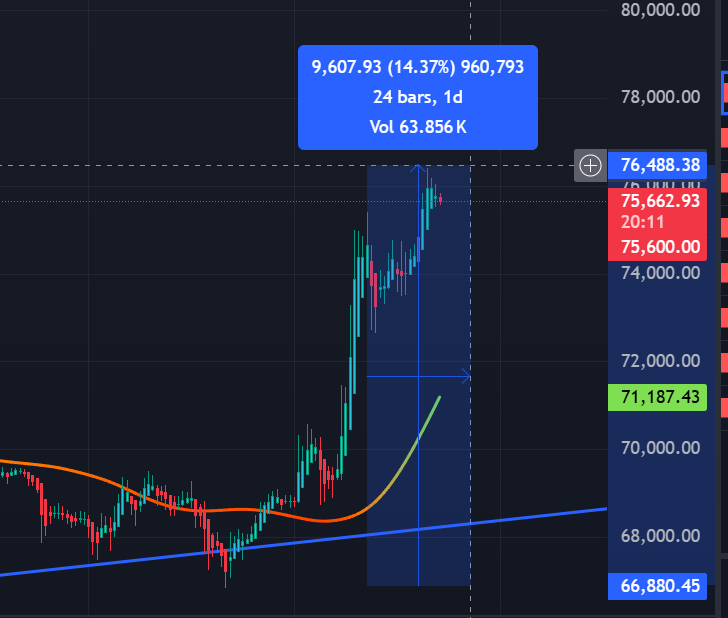 Kingfisher tweet media