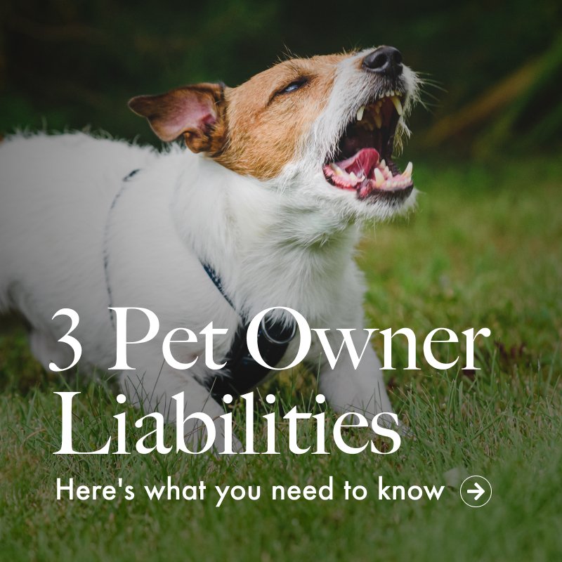 usclaims's tweet photo. Pet Owners: Is your dog putting you at legal risk? 🐕

A bite could cost you big—medical bills, lost wages, and lawsuits adding up to $50K or more. Even with insurance, premiums will likely rise.

Stay informed and protect yourself! ⬇️
https://t.co/xoEobSEhnL https://t.co/Eqw53DI1pq