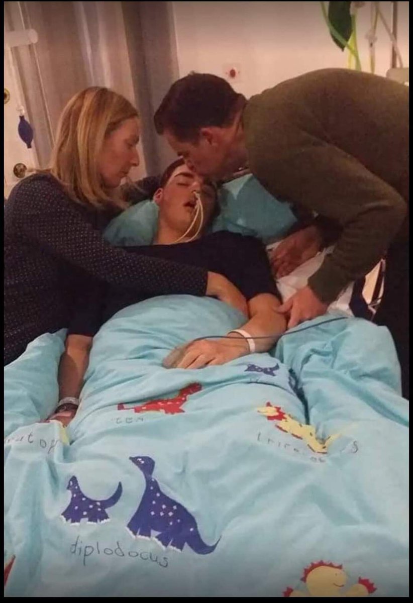 Paula McGowan OBE tweet media