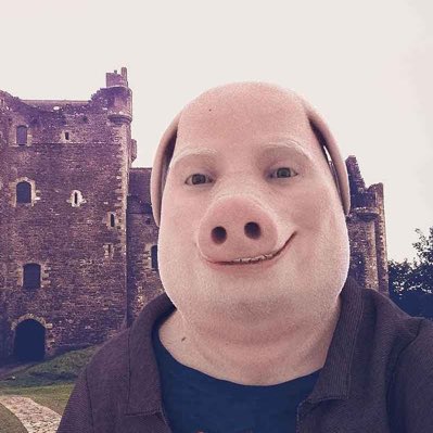 John Pork tweet media