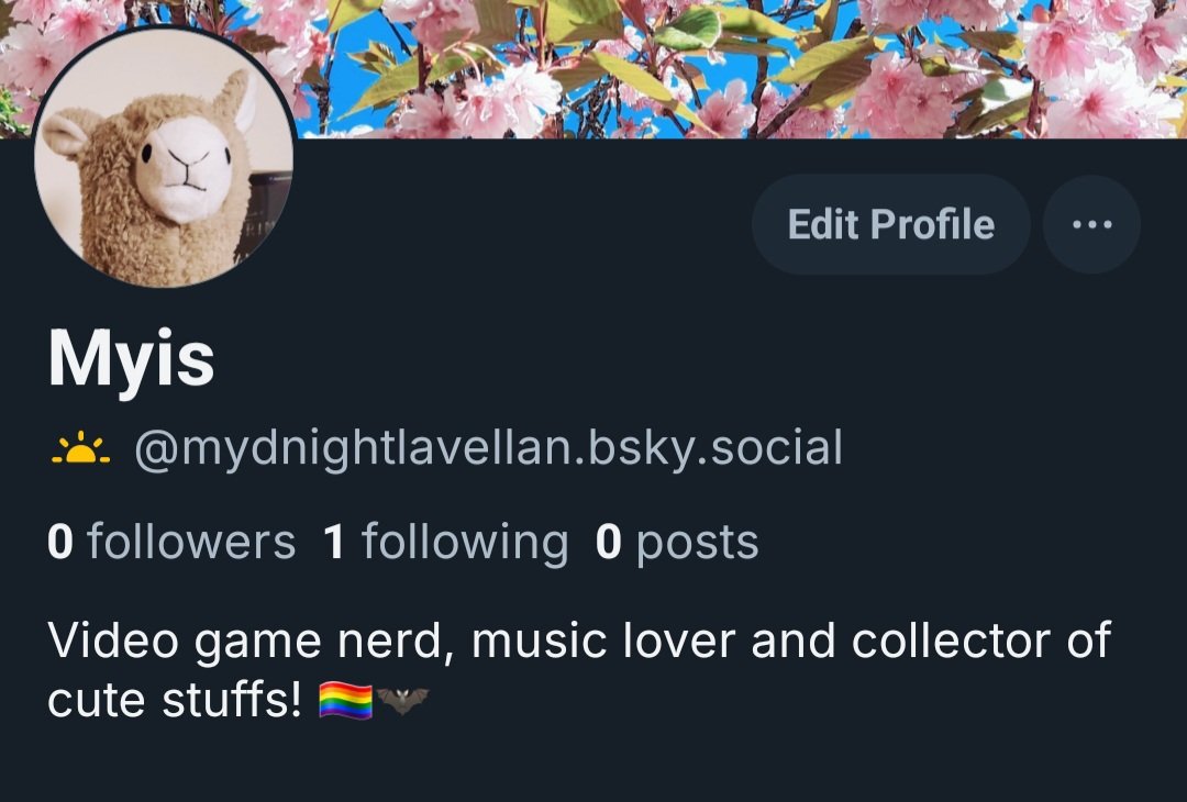 MissMyis's tweet photo. I joined 🦋 and will most likely delete my twitter in the coming days, I can't handle constant depression, if people want you can find me there, I have yet to post and will try to follow people who are cool from on here, love you guys, always 💙 https://t.co/WA9C9OtQ8n