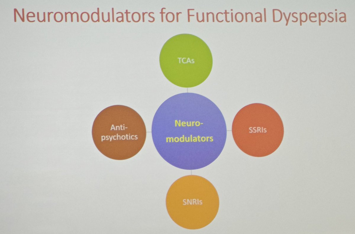 KewinSiah's tweet photo. A really insightful update of management of Functional #dyspepsia @2024FnmThailand by Prof William Chey @umfoodoc #gitweet #fnm2024 #MedTwitter https://t.co/RundC0qmOM