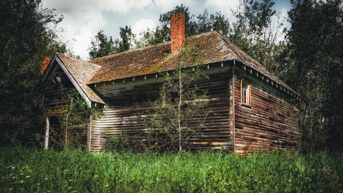 explorewithwade's tweet image. A very difficult place to find and almost impossible to see from the road in the summer months. Love finding these old buildings from our past. Go check out the video and have a great day!
youtu.be/dtKLDtLcMv4